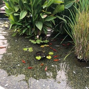 Meet your Posher, Erika